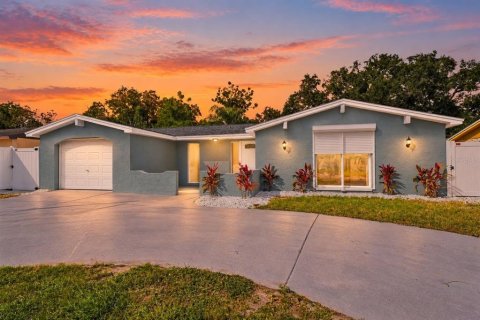 Villa ou maison à Port Richey, Floride 3 chambres, 140.38 m2 № 2434462