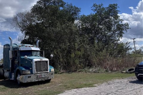 Terreno en venta en Pahokee, Florida № 2045603 - foto 3