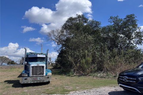 Terreno en venta en Pahokee, Florida № 2045603 - foto 2