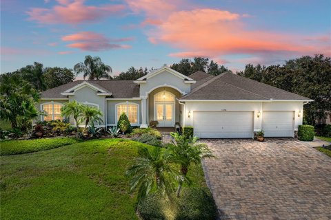 Villa ou maison à vendre à Dade City, Floride: 5 chambres, 303.33 m2 № 1296670 - photo 1