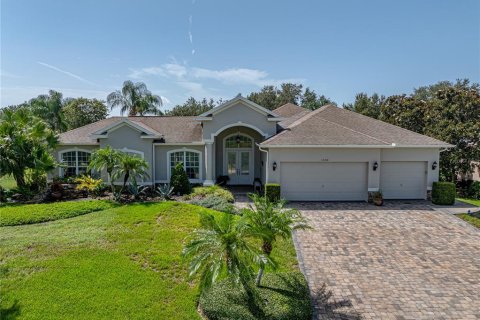 Villa ou maison à vendre à Dade City, Floride: 5 chambres, 303.33 m2 № 1296670 - photo 7
