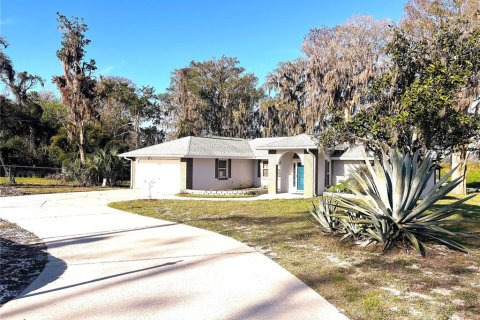 House in Crystal River, Florida 3 bedrooms, 132.2 sq.m. № 1733624 - photo 1