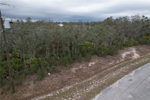 Terreno en venta en Kissimmee, Florida № 2228617 - foto 6