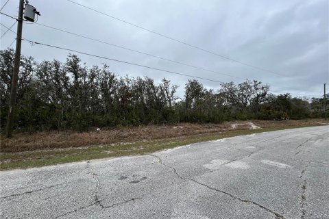 Terreno en venta en Kissimmee, Florida № 2228617 - foto 3