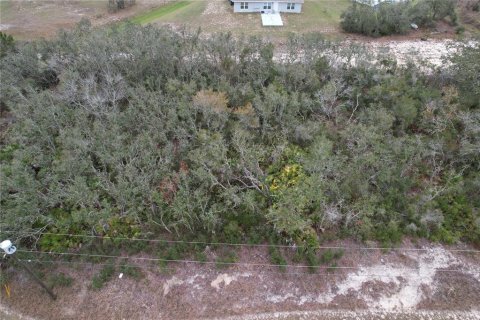 Terreno en venta en Kissimmee, Florida № 2228617 - foto 12