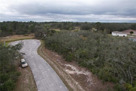 Terreno en venta en Kissimmee, Florida № 2228617 - foto 5