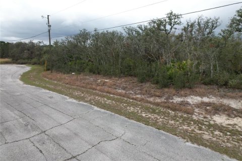 Terreno en venta en Kissimmee, Florida № 2228617 - foto 7