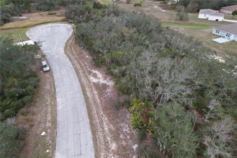Terreno en venta en Kissimmee, Florida № 2228617 - foto 9