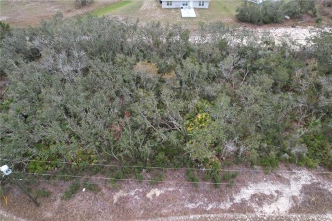 Terreno en venta en Kissimmee, Florida № 2228617 - foto 11