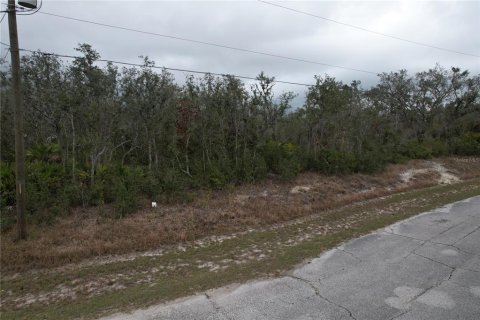 Terreno en venta en Kissimmee, Florida № 2228617 - foto 8