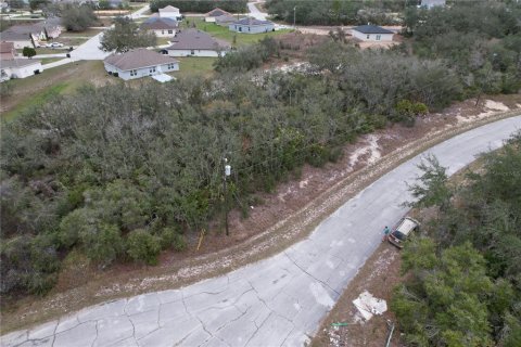 Terreno en venta en Kissimmee, Florida № 2228617 - foto 10