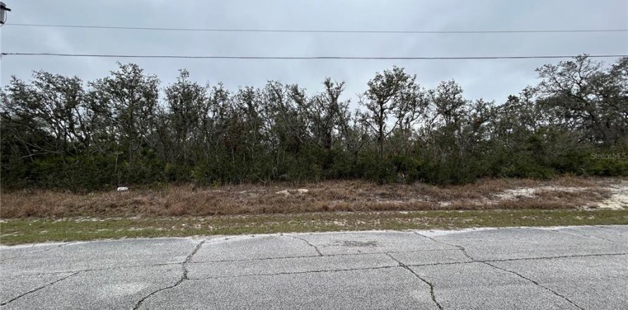 Terreno en Kissimmee, Florida № 2228617