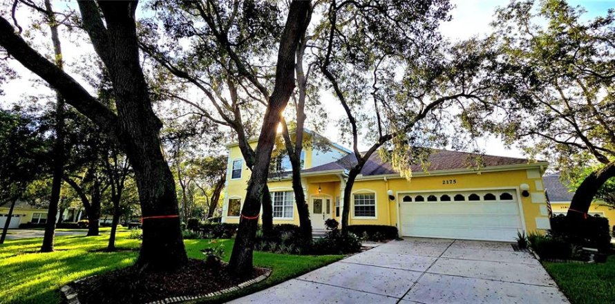 Touwnhouse à Palm Harbor, Floride 3 chambres, 204.38 m2 № 1899321