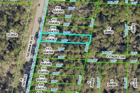 Land in Webster, Florida № 2162529 - photo 2