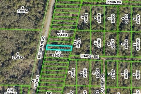 Land in Webster, Florida № 2162529 - photo 3