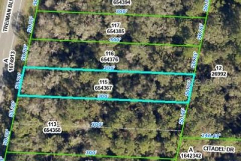 Land in Webster, Florida № 2162529