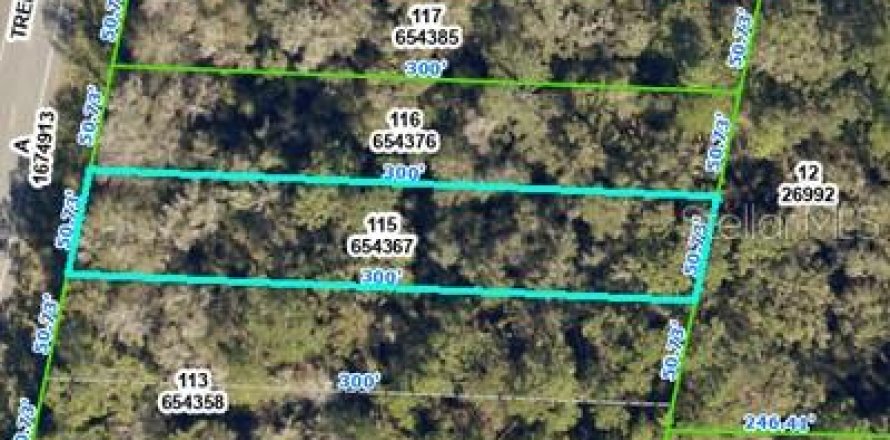 Land in Webster, Florida № 2162529