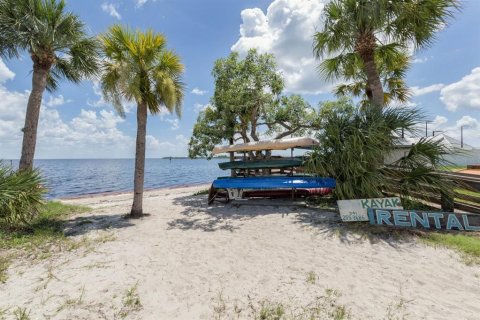Land in Port Charlotte, Florida № 1908804 - photo 11