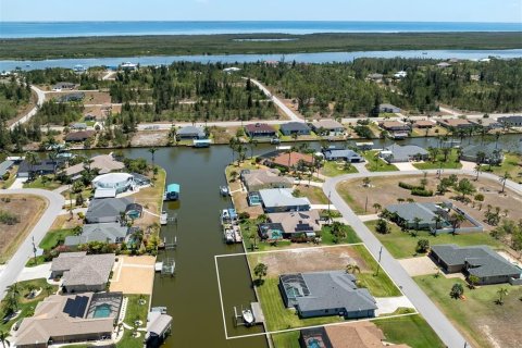 Land in Port Charlotte, Florida № 1908804 - photo 3