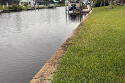 Land in Port Charlotte, Florida № 1908804 - photo 13