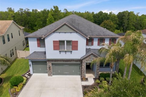 Villa ou maison à vendre à Wesley Chapel, Floride: 5 chambres, 412.76 m2 № 2267497 - photo 7