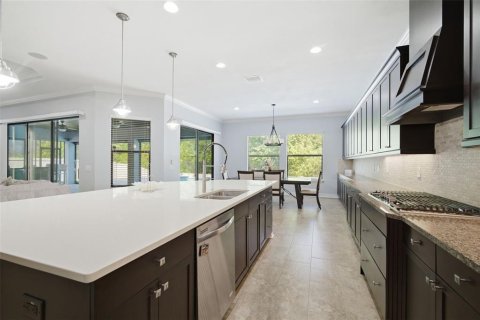 Villa ou maison à vendre à Wesley Chapel, Floride: 5 chambres, 412.76 m2 № 2267497 - photo 29