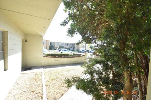 Appartement à louer à Tampa, Floride: 1 chambre, 51.1 m2 № 2405607 - photo 4