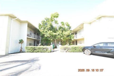 Studio à Tampa, Floride № 2405607