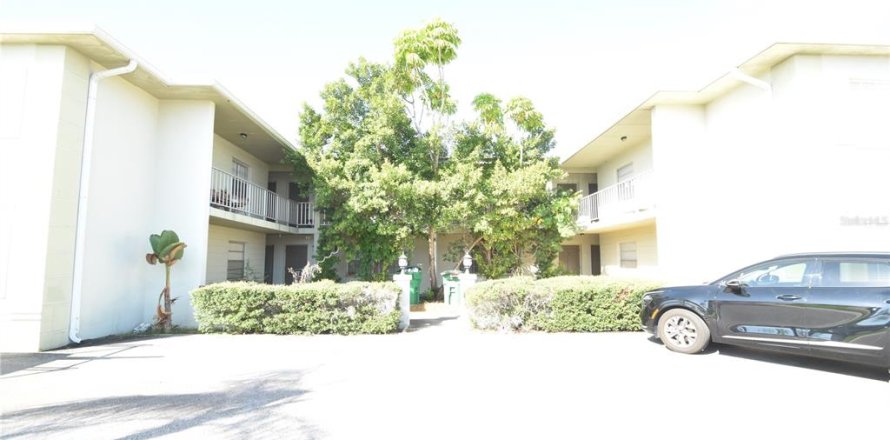 Studio à Tampa, Floride № 2405607
