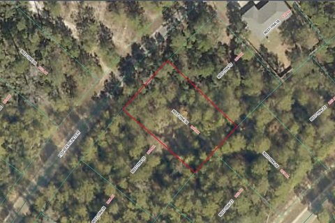 Land in Ocala, Florida № 2228760