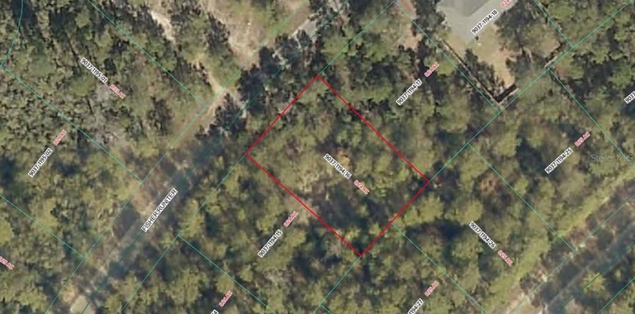 Land in Ocala, Florida № 2228760