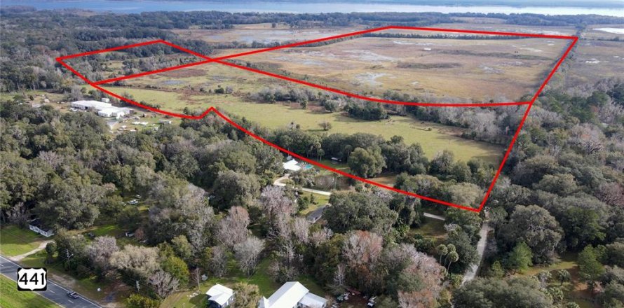 Terreno en Micanopy, Florida № 971467