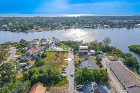 Land in Tarpon Springs, Florida № 1720336 - photo 19