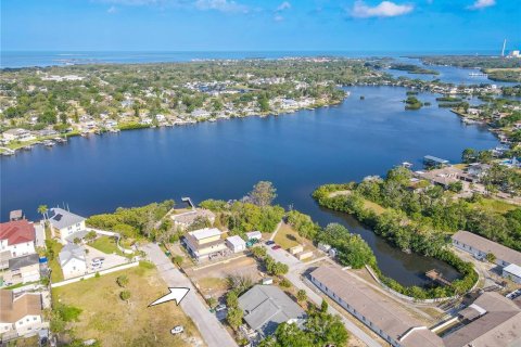 Land in Tarpon Springs, Florida № 1720336 - photo 7