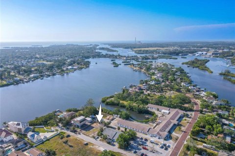 Land in Tarpon Springs, Florida № 1720336 - photo 8