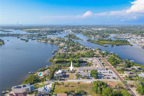 Land in Tarpon Springs, Florida № 1720336 - photo 13