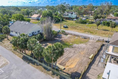 Land in Tarpon Springs, Florida № 1720336 - photo 16