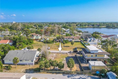 Land in Tarpon Springs, Florida № 1720336 - photo 10