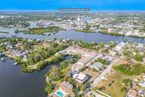 Land in Tarpon Springs, Florida № 1720336 - photo 21