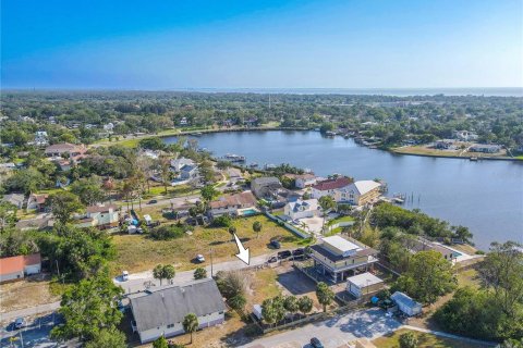 Land in Tarpon Springs, Florida № 1720336 - photo 9