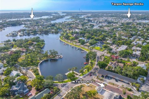 Land in Tarpon Springs, Florida № 1720336 - photo 18