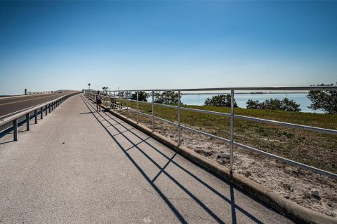 Copropriété à louer à Dunedin, Floride: 2 chambres, 104.33 m2 № 2101455 - photo 6