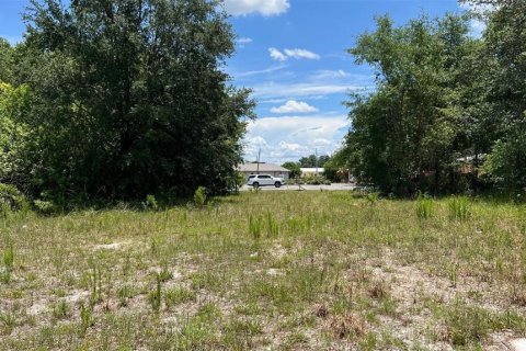 Land in Auburndale, Florida № 1791533 - photo 6
