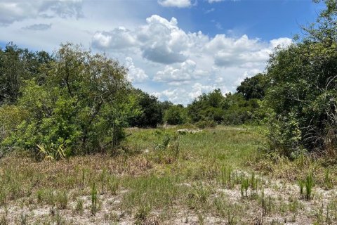 Land in Auburndale, Florida № 1791533 - photo 5