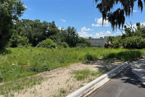 Land in Auburndale, Florida № 1791533 - photo 19