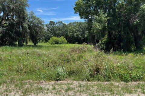 Land in Auburndale, Florida № 1791533 - photo 17
