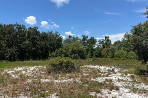 Land in Auburndale, Florida № 1791533 - photo 13