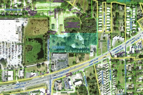 Land in Auburndale, Florida № 1791533 - photo 1
