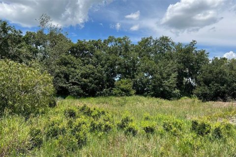 Land in Auburndale, Florida № 1791533 - photo 9