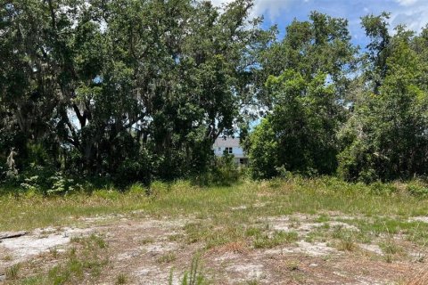 Land in Auburndale, Florida № 1791533 - photo 12